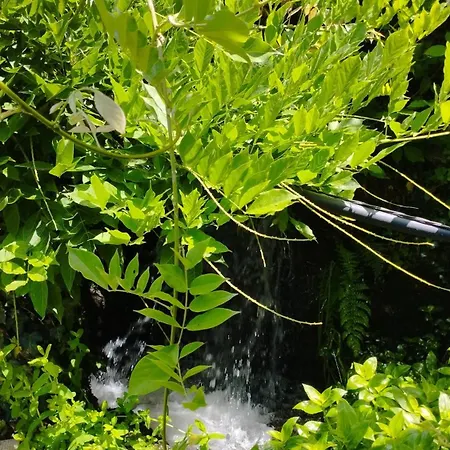 Casa Do Cerrado Konukevi *