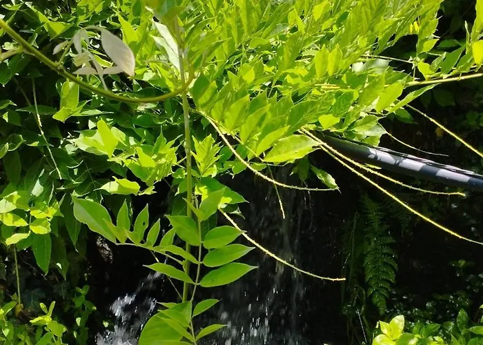 Casa Do Cerrado Maison d'hôtes *